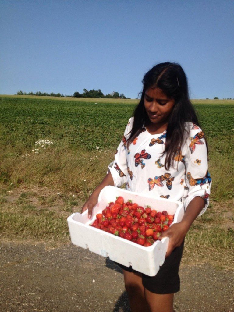 kathi jordbær